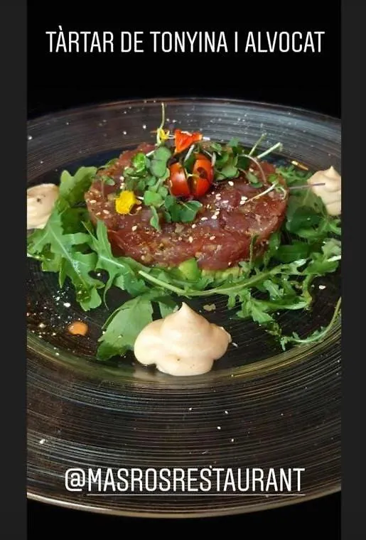 Hotel Restaurant Mas Ros Касса-де-ла-Сельва